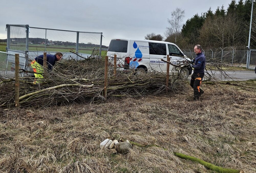 Für Natur- und Artenschutz: Anlegen einer Benjeshecke